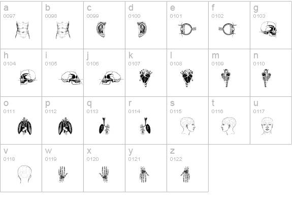 the body, vol. I details - Free Fonts at FontZone.net