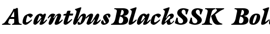 AcanthusBlackSSK BoldItalic - Download Thousands of Free Fonts at FontZone.net
