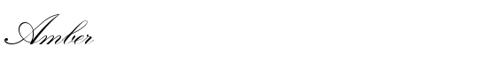 Amber - Download Thousands of Free Fonts at FontZone.net