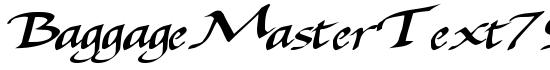 BaggageMasterText79 Bold - Download Thousands of Free Fonts at FontZone.net