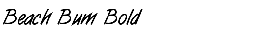Beach Bum Bold - Download Thousands of Free Fonts at FontZone.net