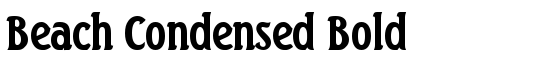 Beach Condensed Bold - Download Thousands of Free Fonts at FontZone.net