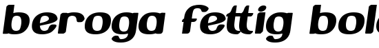 Beroga Fettig Bold - Download Thousands of Free Fonts at FontZone.net