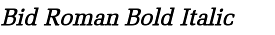 Bid Roman Bold Italic - Download Thousands of Free Fonts at FontZone.net
