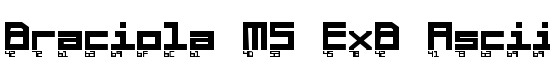 Braciola MS ExB Ascii - Download Thousands of Free Fonts at FontZone.net