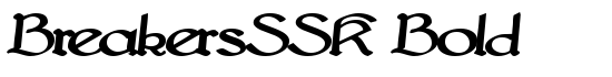 BreakersSSK Bold - Download Thousands of Free Fonts at FontZone.net