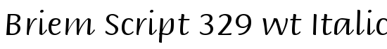 Briem Script 329 wt Italic - Download Thousands of Free Fonts at FontZone.net