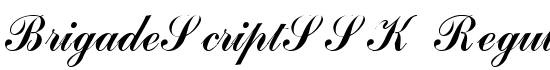 BrigadeScriptSSK Regular - Download Thousands of Free Fonts at FontZone.net