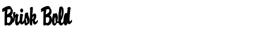 Brisk Bold - Download Thousands of Free Fonts at FontZone.net