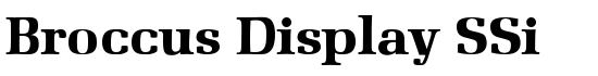 Broccus Display SSi - Download Thousands of Free Fonts at FontZone.net