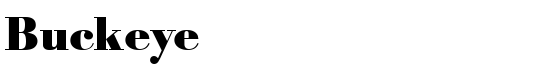 Buckeye - Download Thousands of Free Fonts at FontZone.net