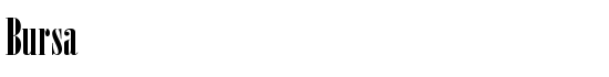 Bursa - Download Thousands of Free Fonts at FontZone.net