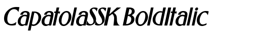 CapatolaSSK BoldItalic - Download Thousands of Free Fonts at FontZone.net