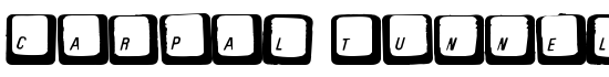 Carpal Tunnel - Download Thousands of Free Fonts at FontZone.net