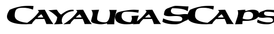 CayaugaSCapsSSK BoldItalic - Download Thousands of Free Fonts at FontZone.net