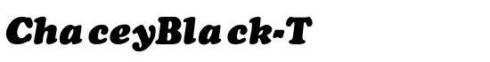 ChaceyBlack-Thin-Italic - Download Thousands of Free Fonts at FontZone.net