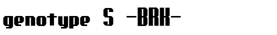 genotype S -BRK- - Download Thousands of Free Fonts at FontZone.net