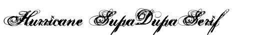 Hurricane SupaDupaSerif - Download Thousands of Free Fonts at FontZone.net