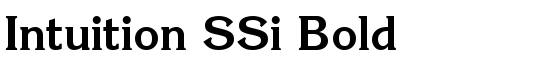Intuition SSi Bold - Download Thousands of Free Fonts at FontZone.net