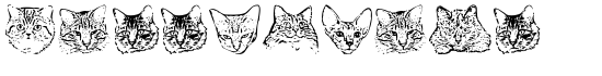 KittyPrint - Download Thousands of Free Fonts at FontZone.net