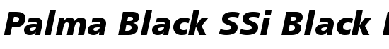 Palma Black SSi Black Italic - Download Thousands of Free Fonts at FontZone.net