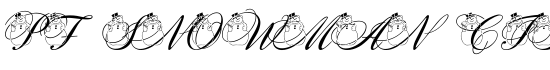 pf_snowman citadel  - Download Thousands of Free Fonts at FontZone.net