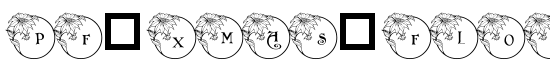 pf_xmas_flower1 - Download Thousands of Free Fonts at FontZone.net