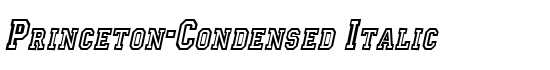 Princeton-Condensed Italic - Download Thousands of Free Fonts at FontZone.net