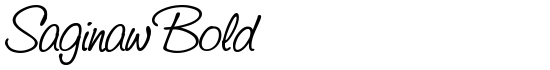 Saginaw Bold - Download Thousands of Free Fonts at FontZone.net
