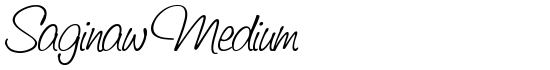 Saginaw Medium - Download Thousands of Free Fonts at FontZone.net