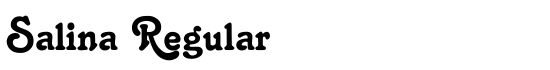 Salina Regular - Download Thousands of Free Fonts at FontZone.net
