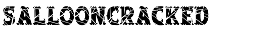 SalloonCracked - Download Thousands of Free Fonts at FontZone.net