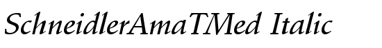 SchneidlerAmaTMed Italic - Download Thousands of Free Fonts at FontZone.net