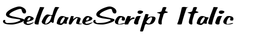 SeldaneScript Italic - Download Thousands of Free Fonts at FontZone.net