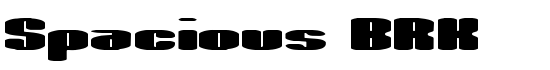 Spacious BRK - Download Thousands of Free Fonts at FontZone.net