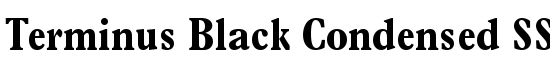 Terminus Black Condensed SSi Bold Condensed - Download Thousands of Free Fonts at FontZone.net