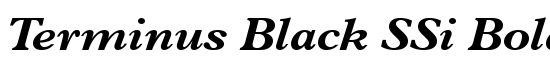 Terminus Black SSi Bold Italic - Download Thousands of Free Fonts at FontZone.net
