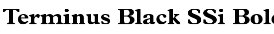 Terminus Black SSi Bold - Download Thousands of Free Fonts at FontZone.net