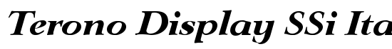 Terono Display SSi Italic - Download Thousands of Free Fonts at FontZone.net