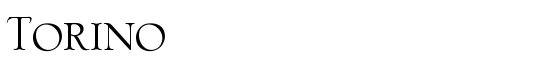 Torino - Download Thousands of Free Fonts at FontZone.net