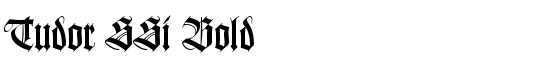 Tudor SSi Bold - Download Thousands of Free Fonts at FontZone.net