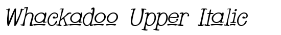Whackadoo Upper Italic - Download Thousands of Free Fonts at FontZone.net