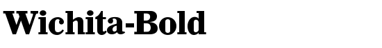 Wichita-Bold - Download Thousands of Free Fonts at FontZone.net